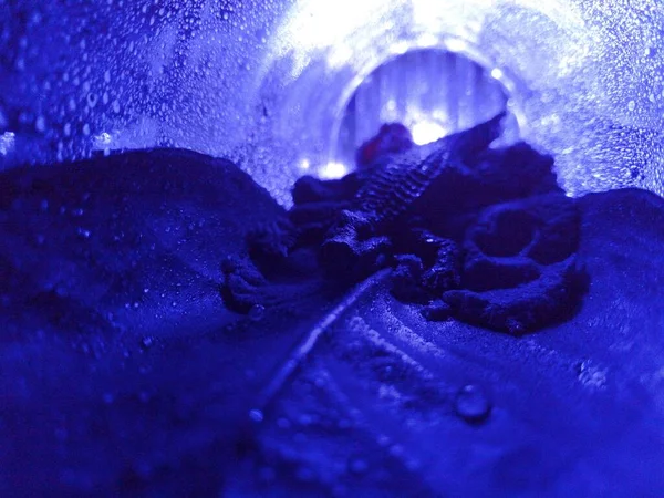 creative macro art photo where a toy alligator crouches at the bottom of a river channel in the sand in an unusual dark blue light with water droplets