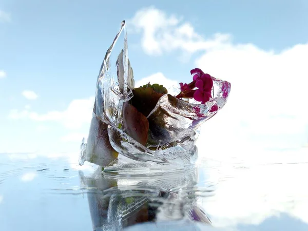 frozen purple flower in a vase of broken ice against a blue sky with clouds and their reflection in a macro photo