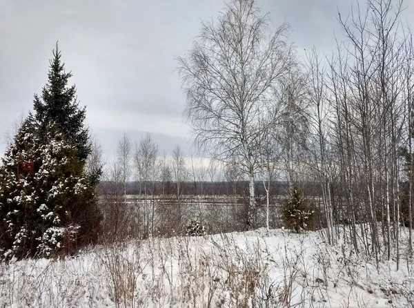 Piękny Zimowy Krajobraz Zboczu Pobliżu Rzeki Tle Pokrytych Śniegiem Drzew — Zdjęcie stockowe