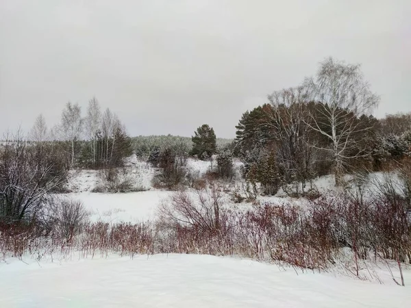 Красивый Снежный Пейзаж Зимой Поле Кустарниками Деревьями Против Серого Неба — стоковое фото
