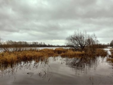 Nehir kıyısında kasvetli bir gökyüzünün altında