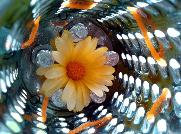 Una Combinación Inusual Artículos Forma Trituradora Metal Una Flor Naranja — Foto de Stock