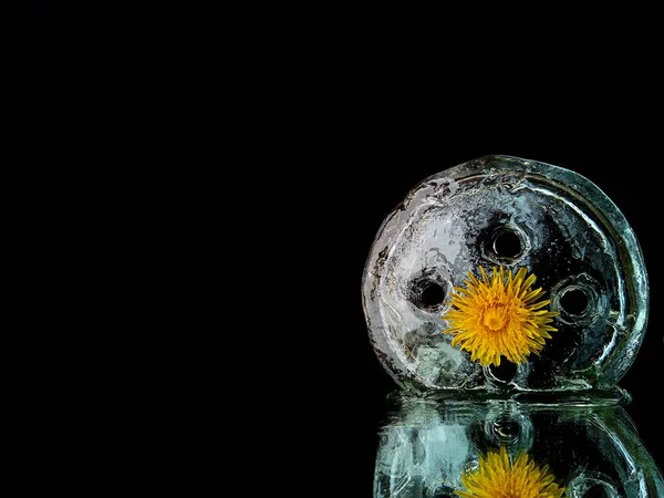 Foto Creativa Una Flor Amarilla Hielo Reflejo Fondo Negro Cósmico — Foto de Stock