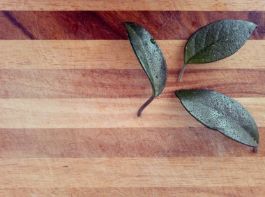 Çizgili tahta üzerinde su damlacıkları olan üç yeşil yaprak güzel bir arkaplanı temsil ediyor.