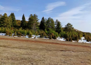 Yeşil ağaçların arka planında kar kalıntılarıyla güneşli bahar manzarası ve bulutlu mavi gökyüzü.