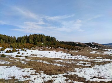 Bir ormanın arka planında eriyen kar kalıntıları ve bahar manzarasında bulutlu mavi bir gökyüzü olan bir tarla.
