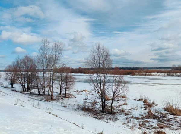 Красивый Весенний Пейзаж Природой Пробуждающейся Зимнего Сна Фоне Невероятно Красивого — стоковое фото