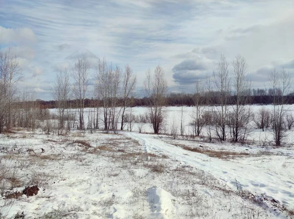 Pleasant Spring Landscape Trees Frozen River Wakes Winter Dream Magnificent — Stock Photo, Image