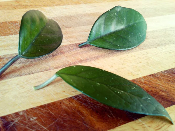 Drei Grüne Blätter Auf Einem Gestreiften Holzbrett Einem Kreativen Makrofoto — Stockfoto
