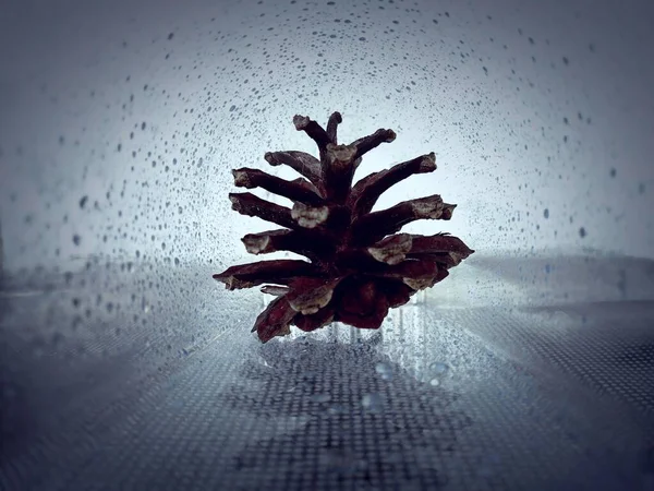 Cono Del Bosque Iluminado Túnel Vidrio Con Gotas Agua Una — Foto de Stock