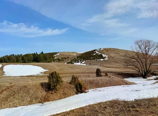 Hermoso Cielo Primaveral Con Nubes Sobre Campo Con Árboles Una —  Fotos de Stock