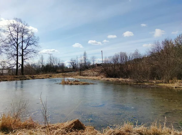 Einem Frühlingstag Einem Sumpfigen Teich Vor Einem Schönen Blauen Himmel — Stockfoto