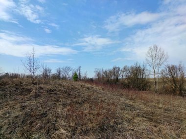 Bir tarlada ağaçların manzarası ve ılık bir bahar gününde bulutlarla dolu mavi bir gökyüzü.