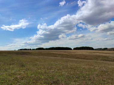 Büyük, güzel bulutlar mavi gökyüzünde bir tarlanın üzerinde bir orman çiftliği uzakta.