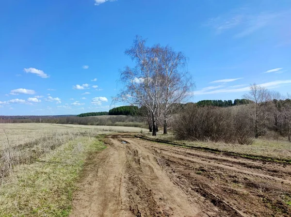 Uma Estrada Perto Campo Passando Por Árvores Arbustos Contra Céu — Fotografia de Stock