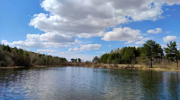 Paisagem Ensolarada Margem Uma Lagoa Com Vistas Árvores Céu Azul — Fotografia de Stock
