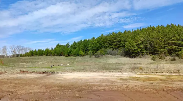 Cielo Azul Con Nubes Sobre Estanque Seco Bosque Verde Día —  Fotos de Stock