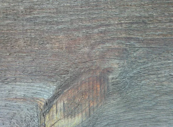 Texture Old Gray Wood Plank — Stock Photo, Image