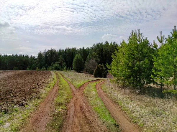 Cielo Azul Soleado Con Nubes Sobre Camino Bifurcado Por Bosque —  Fotos de Stock