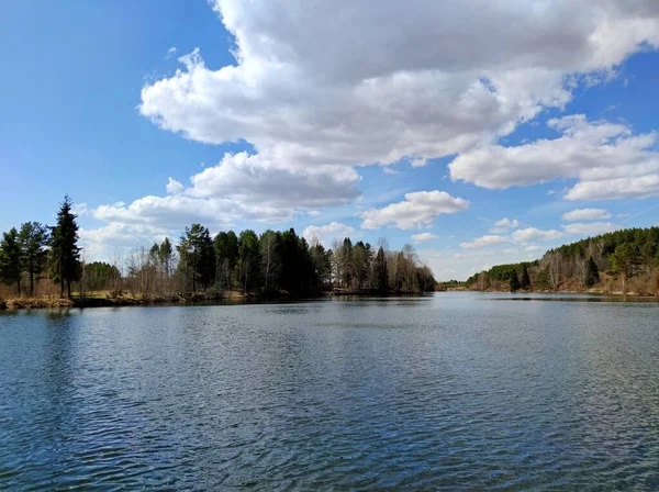 Blue Sky Beautiful Clouds Pond Forest Sunny Day — Stock Photo, Image