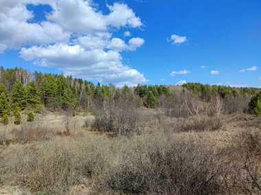 Yeşil çam ağaçlarıyla çevrili ovaların üzerinde bulutlu mavi gökyüzü.