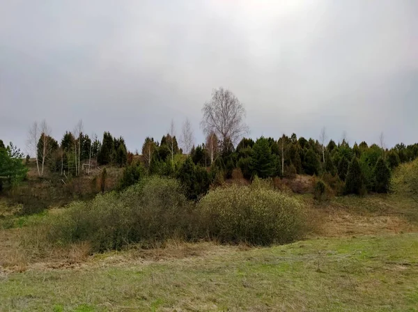 Estrada Entre Campo Floresta Contra Céu Azul Dia Ensolarado — Fotografia de Stock