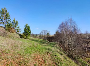 Güneşli bir günde mavi gökyüzüne karşı yeşil bir yamaçta ağaçlar
