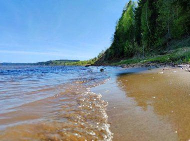 Güneşli bir günde, ormanın yanındaki kumlu nehir kıyısında mavi gökyüzüne karşı.