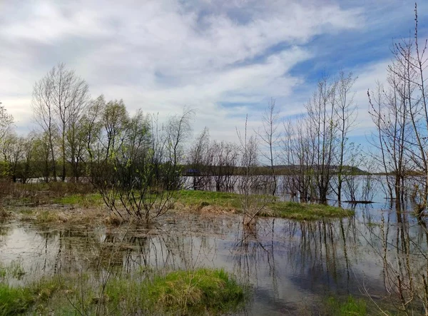 Derramamiento Del Río Una Orilla Verde Con Arbustos Contra Hermoso —  Fotos de Stock