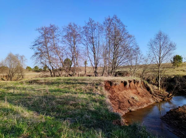 Árboles Prado Cerca Pequeño Río Sobre Fondo Cielo Azul —  Fotos de Stock