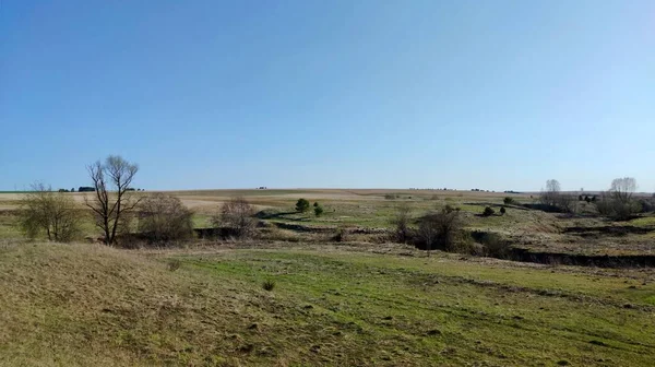 Cielo Azul Sobre Vasto Campo Verde Día Soleado —  Fotos de Stock