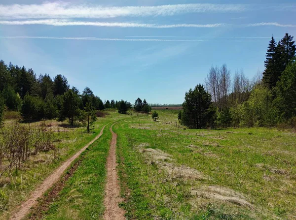 Hermoso Cielo Azul Sobre Camino Rural Campo Árboles Verdes Sol —  Fotos de Stock