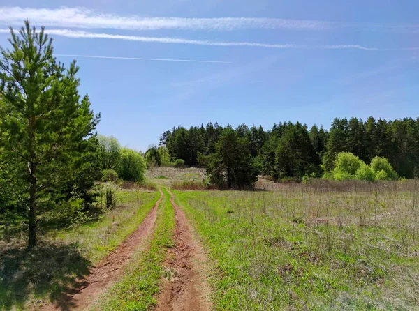 Camino Rural Campo Entre Árboles Verdes Sobre Fondo Cielo Azul —  Fotos de Stock