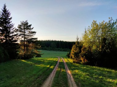 Ağaçlar arasındaki kırsal yol, akşam gökyüzüne karşı ormana çıkar.