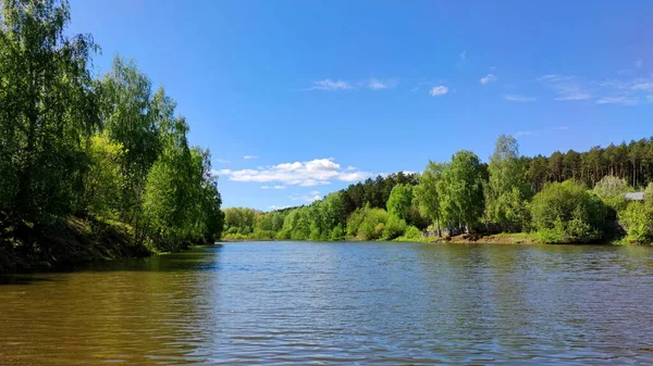 Groene Bomen Langs Oever Van Vijver Tegen Blauwe Lucht Een — Stockfoto