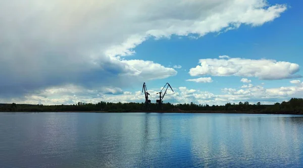 Dos Grúas Orilla Arenosa Del Río Sobre Fondo Árboles Hermoso —  Fotos de Stock