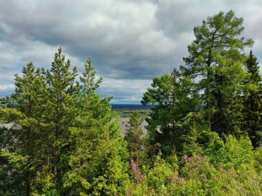 Nehrin kıyısındaki bir dağda yeşil ağaçlar ve çimenler gri bulutlu gökyüzüne karşı.