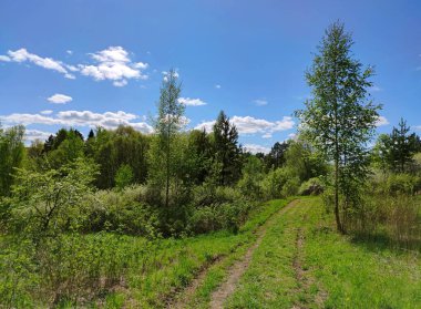 Kırsal yol yeşil çimenlerin ve ağaçların arasında güneşli bir günde bulutlu mavi gökyüzüne karşı