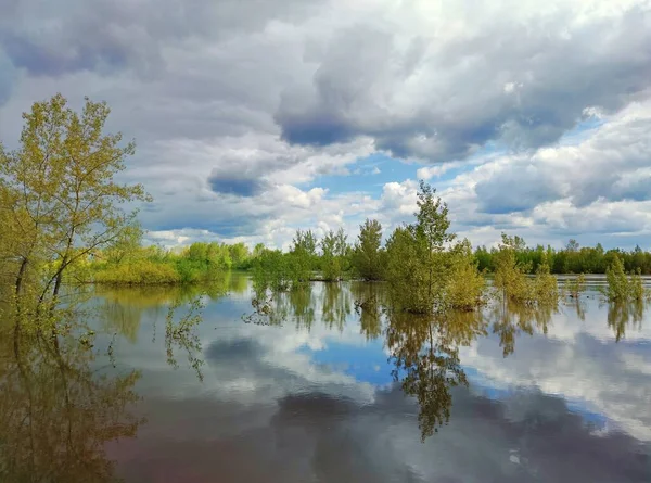 Überflutetes Flussufer Mit Bäumen Wasser Vor Einem Sehr Schönen Blauen — Stockfoto