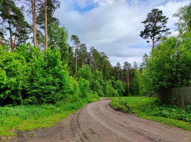 Yeşil ağaçların ve gri çitlerin yanındaki kırsal yol bulutlu güzel mavi gökyüzüne karşı.