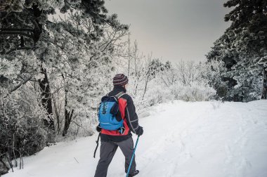 Kış zamanında, orman hiking