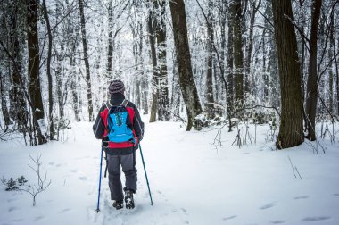 Kış zamanında, orman hiking