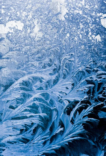 Pencere frost, desen — Stok fotoğraf