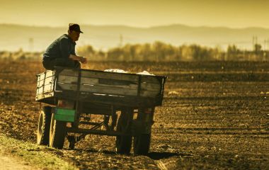 Römorkun üzerinde oturma köylü