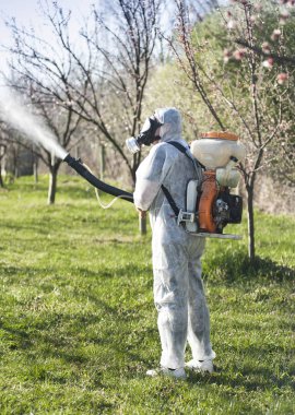 Genç çiftçi kayısı ağaçları orchar kimyasallar ile İlaçlama