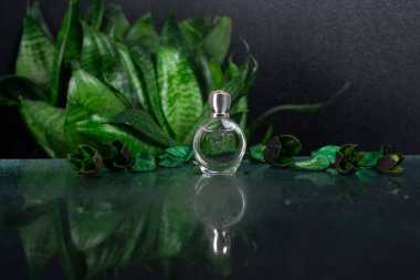  Stüdyoda siyah camlı parfüm şişesi ve su püskürtme kabında yeşil bir çiçek.