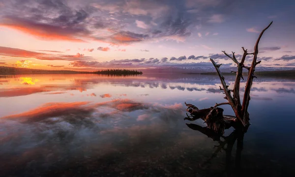 Russian  North Autumn Mountain Lake in the Khibiny Mountains Russian North