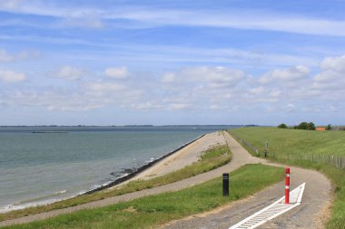 Zeeland 'de güzel bir Hollanda sahili manzarası. Deniz kenarında bir patika. Batılı dalgaların yanında ve mavi gökyüzü. 