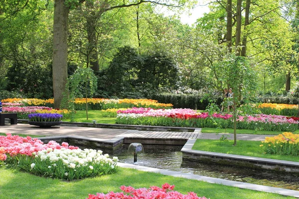 Een Prachtige Scène Van Een Natuurlijk Grasland Met Paarse Wilde — Stockfoto