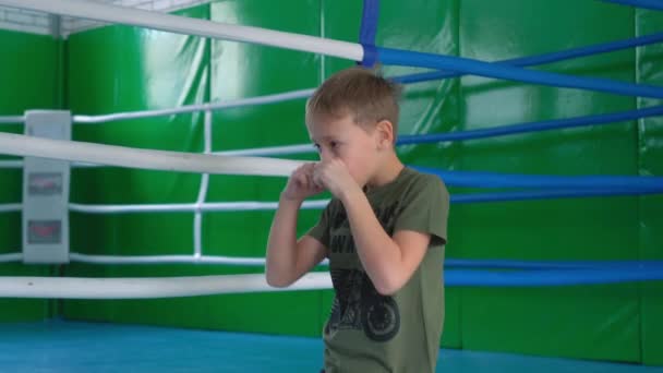 Das Kind Trainiert Der Nähe Des Boxrings — Stockvideo